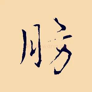 肪