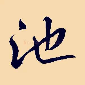 池