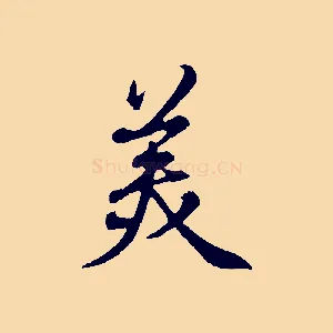 美