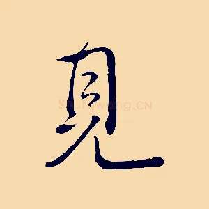 見