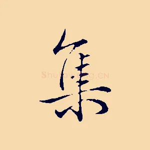 集