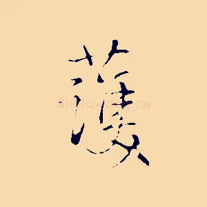 護