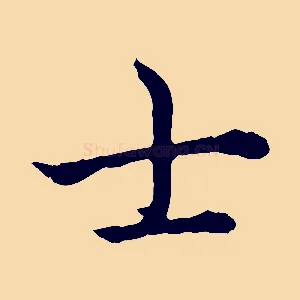 士