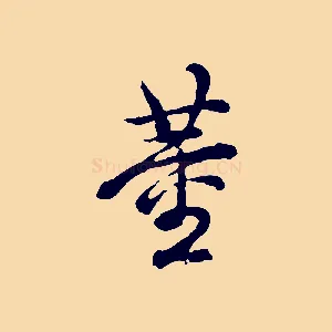 董