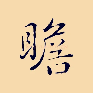 瞻