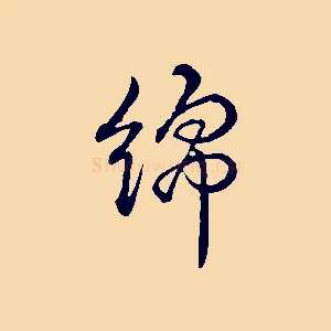 綿