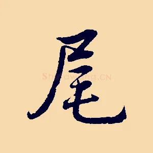 尾