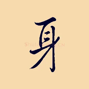 身