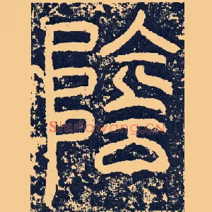 阴