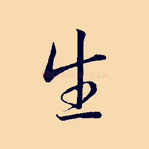 生