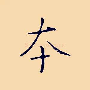 本