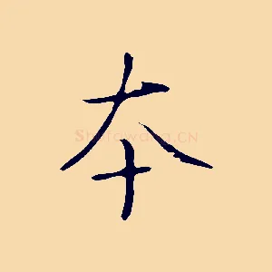 本