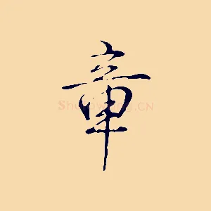 章