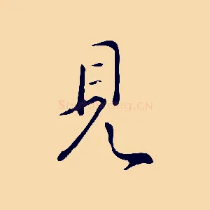 見