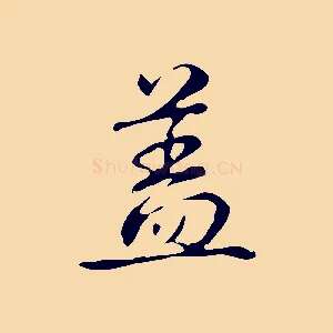 蓋