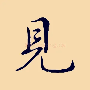 見