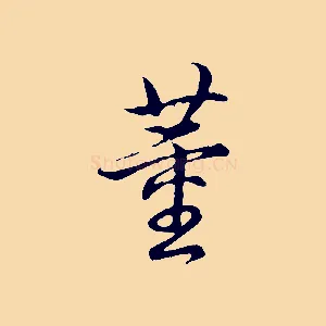 董