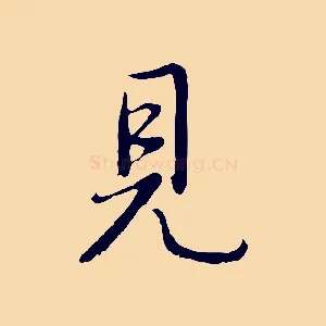 見