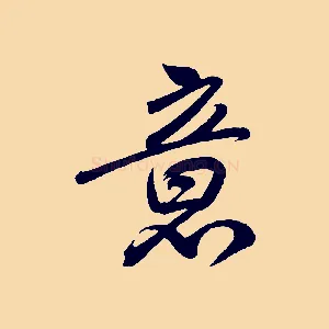 意