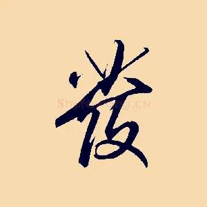 發