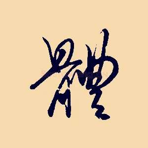 體