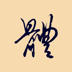 體