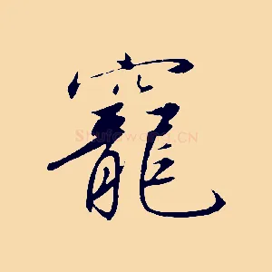 寵
