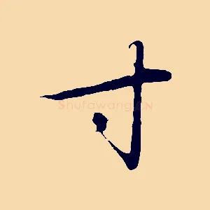 寸