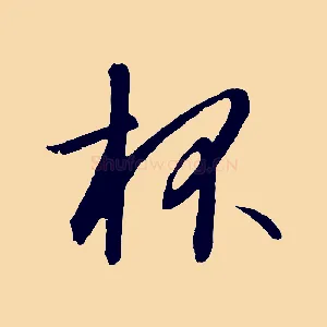 杯