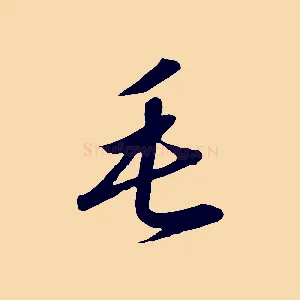 毛