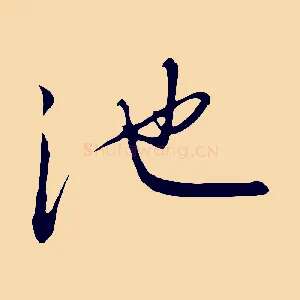 池