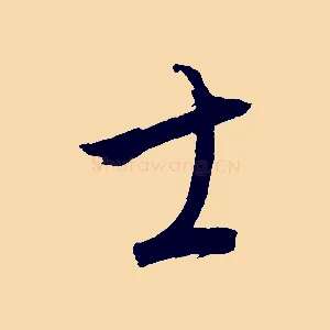 士