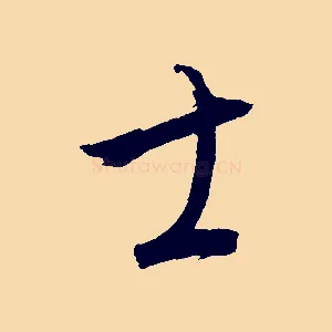 士