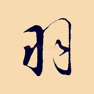 羽