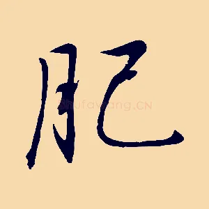 肥