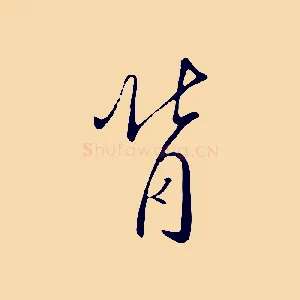 背