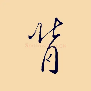 背