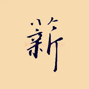 薪