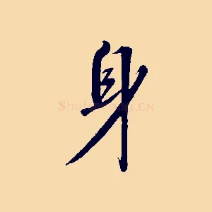 身