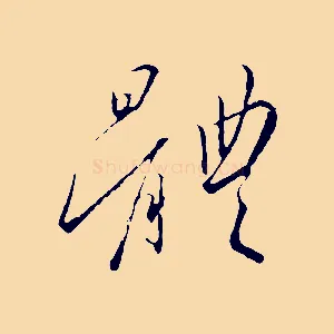 體
