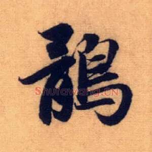 鹘
