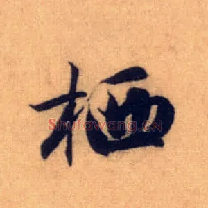 栖