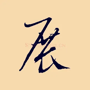 展