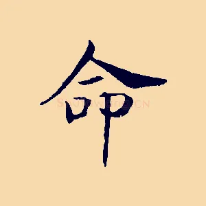 命