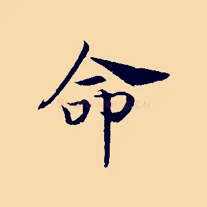 命