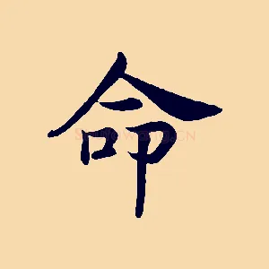 命