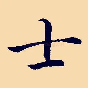士