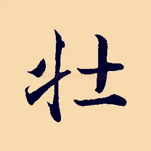 壯