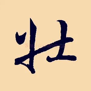 壯