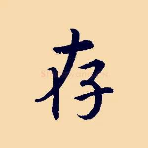 存